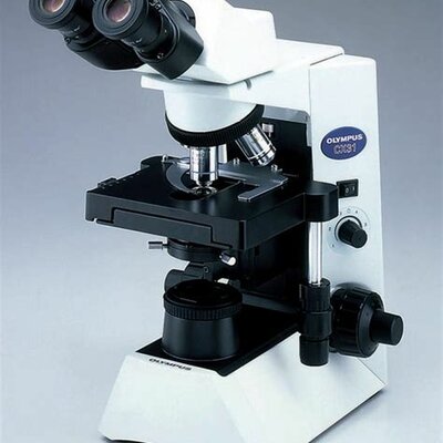 Timeline: Evolution du microscope