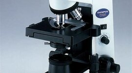 Timeline: Evolution du microscope
