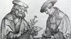 Timeline: La Biología en la antigüedad.