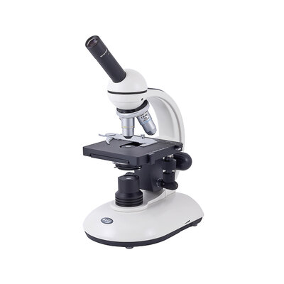 Timeline: Evolution des microscopes dans le temps