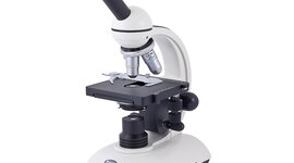 Timeline: Evolution des microscopes dans le temps