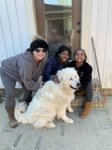 Trabajar en el Refugio de Animales