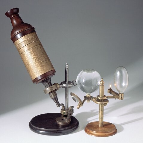 Microscope optique de Hooke