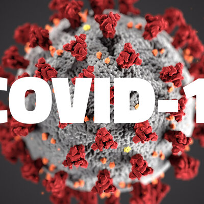 Timeline: Covid- 19: el virus que infectó al mundo