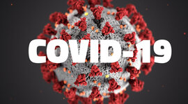 Timeline: Covid- 19: el virus que infectó al mundo