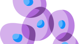 Timeline:  Inicios del planeta tierra