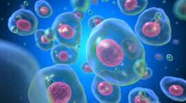 Timeline: Teoría Celular