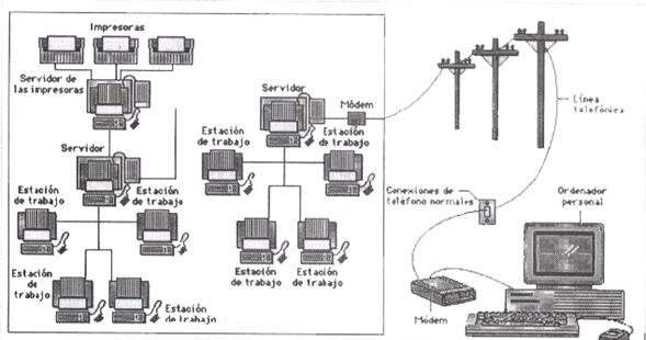PRIMEROS TERMINALES EN REDES