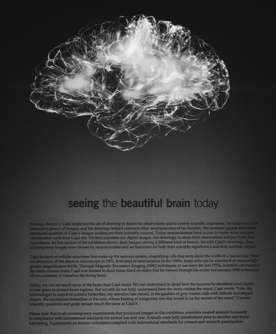 Teoría fenomenológica según Allport.