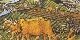 CRECIMIENTO DE LA POBLACION EN EL PERIODO FEUDAL