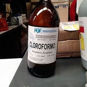 Principios del siglo XIX