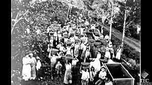 Generación del Olimpo