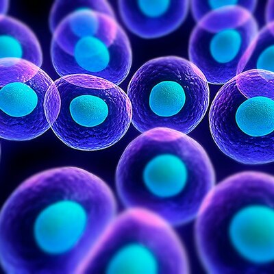 Timeline: Historia del microscopio y la biología celular