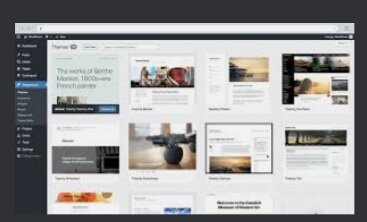 WordPress 2.9