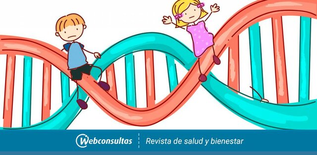 Factores Genéticos Vygotsky