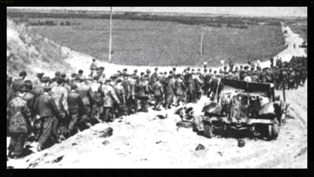 Las fuerzas alemanas se dirigen al Volga