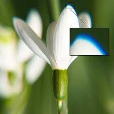 Se descubre que la aberración cromática puede reducirse o eliminarse