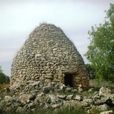 Timeline: LA VIVIENDA  Y SU EVOLUCION