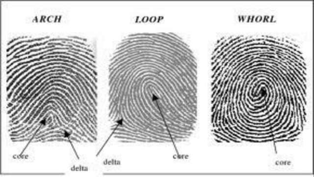 Fingerprint ID used in crime Juan Vucetich