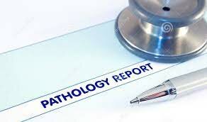 7 Elements of Pathological Anatomy