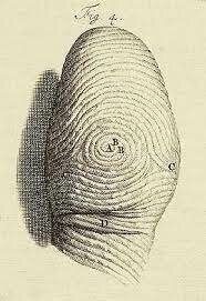 First Use of Fingerprints