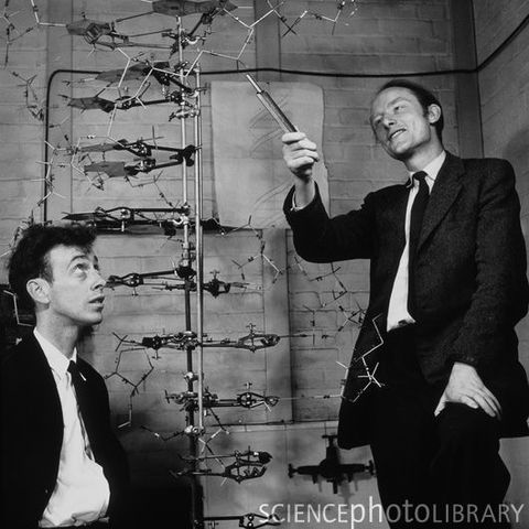 Watson & Crick