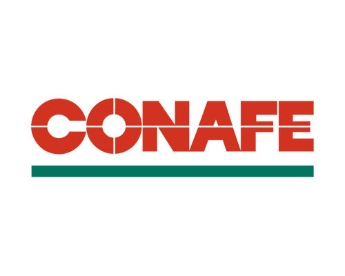 Surge la Compañía Nacional de Fuerza Eléctrica S.A.