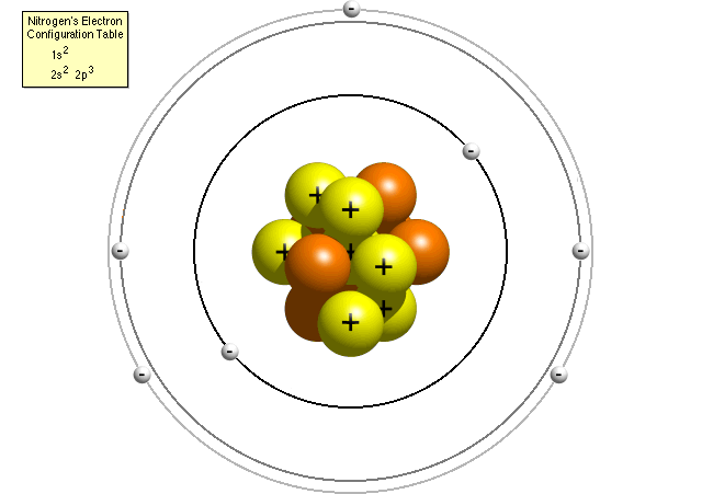 Bohr's Atom