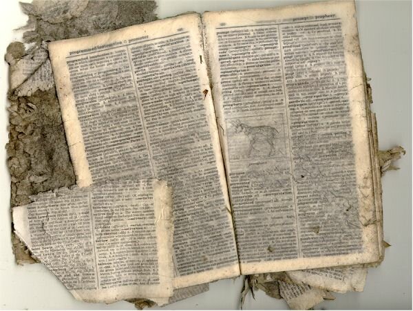 The Problem of Ancient Dictionaries