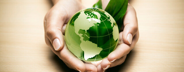 Conferencia de las Naciones Unidas sobre el Medio Ambiente y el Desarrollo