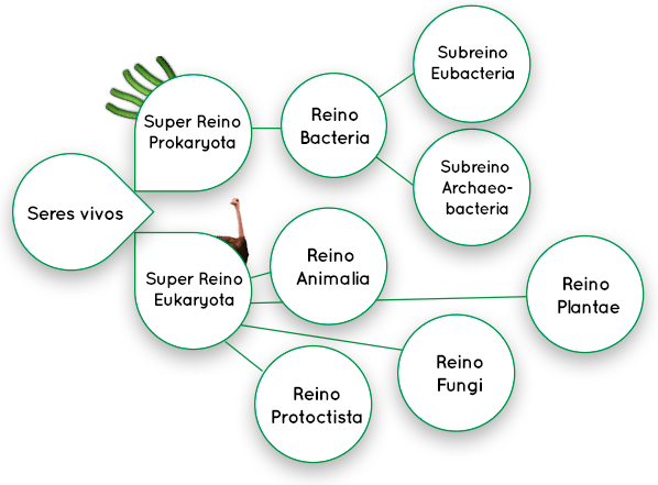 Lynn Margulis y Karlene V. Schwartz