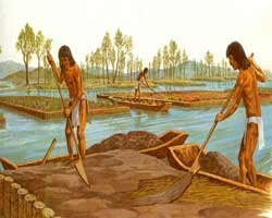 Construcción de chinampas como método de cultivo