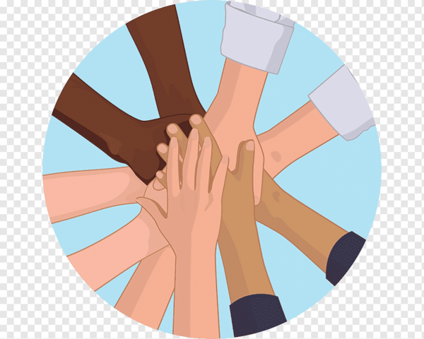 Creación Del Código Para Psicólogos