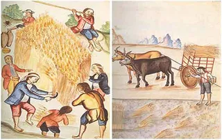 Se introduce la ganadería extensa, así como llegan distintos animales como cerdos, caballos o vacas