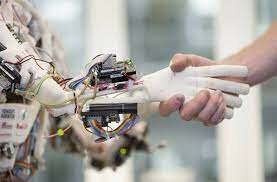 Rasgos más importantes