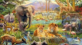 Timeline: Evolución de los animales