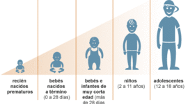 Timeline: Hitos del desarrollo evolutivo