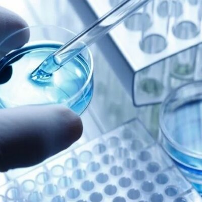 Timeline: Historia de la ingeniería de tejidos