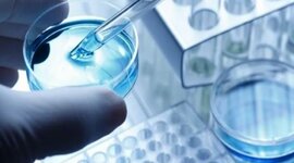 Timeline: Historia de la ingeniería de tejidos