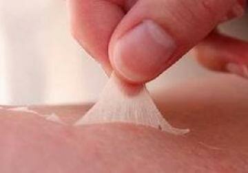 ¿Cuándo se introdujo por primera vez el término ingeniería de tejidos?