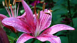 Timeline: All About Me