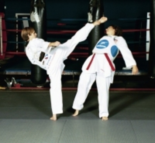 Teakwondo Championship around the world (Major)