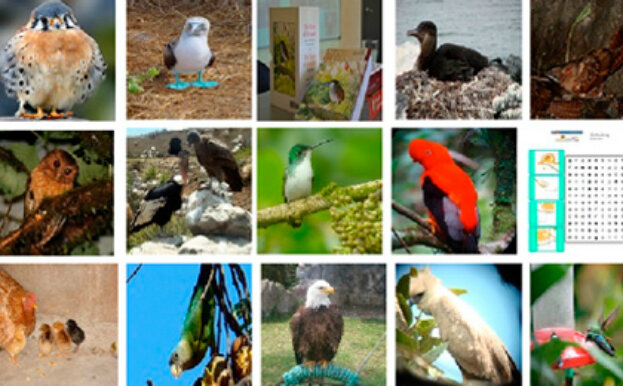 PRIMEROS AÑOS DE ESTUDIO