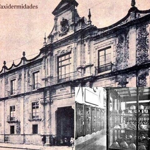 Museo de Antigüedades e Historia Natural