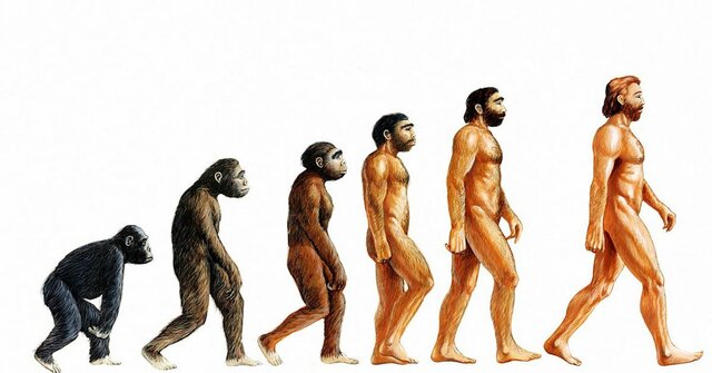 Evolucionismo