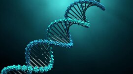 Timeline: History and discovery timeline