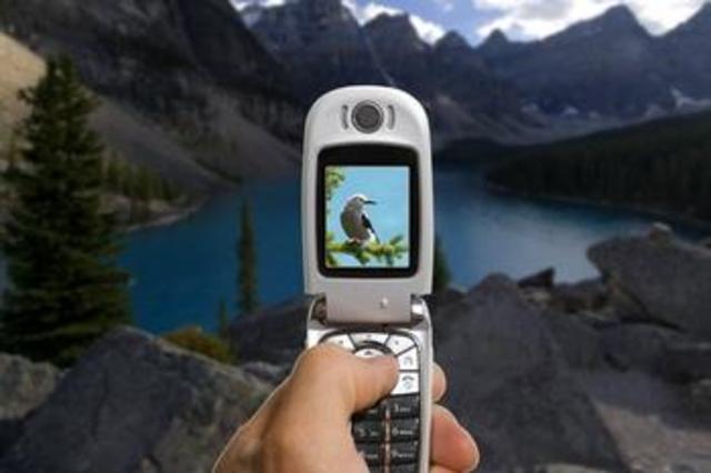 Camera Phone