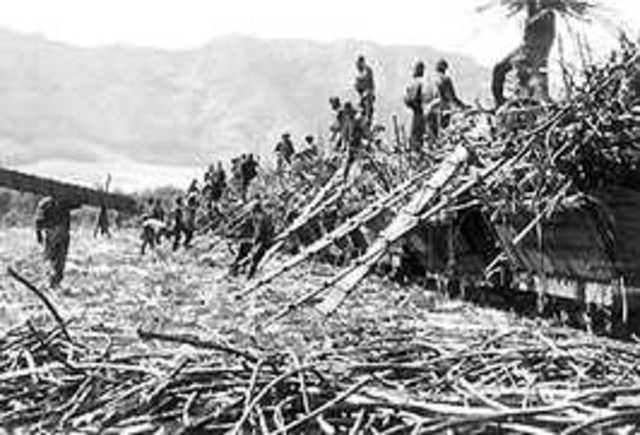 Treaty of Reciprocity with Americans