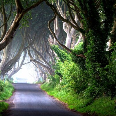 Timeline: llatiagata