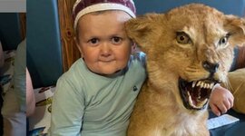 Timeline: La meva historia